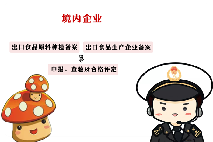 v8哈希游戏-不凡成就非凡,相信品牌的力量