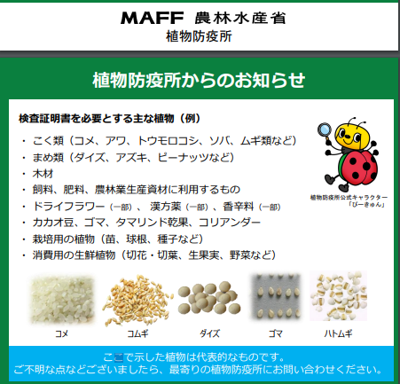 v8哈希游戏-不凡成就非凡,相信品牌的力量