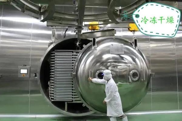 脱水蔬菜出口需要什么资质？（附详细办理流程）