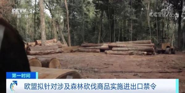欧盟拟禁止进出口这些产品，外贸企业注意！